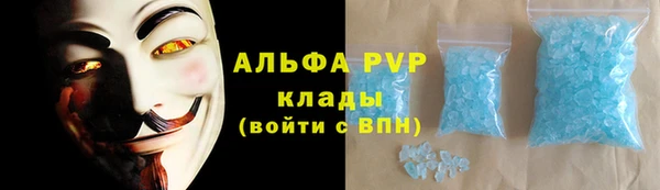 прущие грибы Алзамай