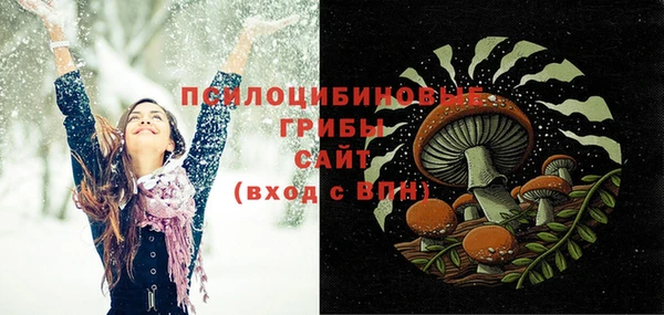 кокс Алексин