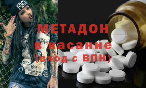 прущие грибы Алзамай