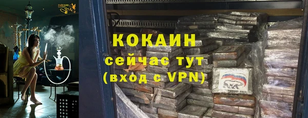 гидра Арсеньев