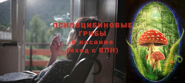 кокс Алексин