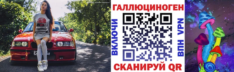 Купить закладки  Суджа  Псилоцибиновые грибы прущие грибы 